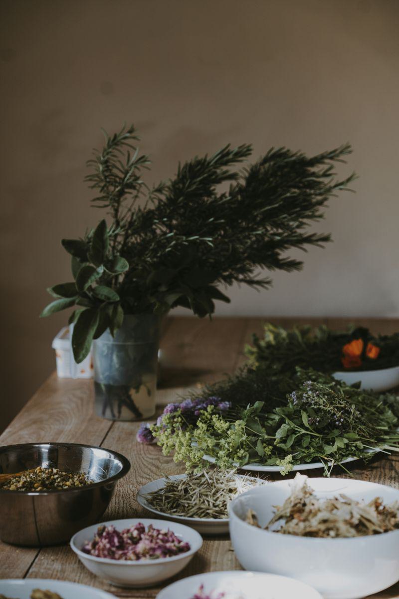 annie-spratt-unsplash